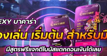 SEXY บาคาร่า ทดลองเล่น 01