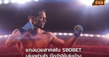 แทงมวยสากลใน SBOBET