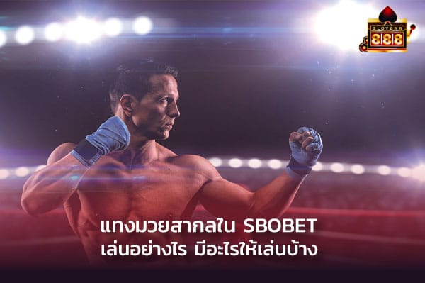 แทงมวยสากลใน SBOBET